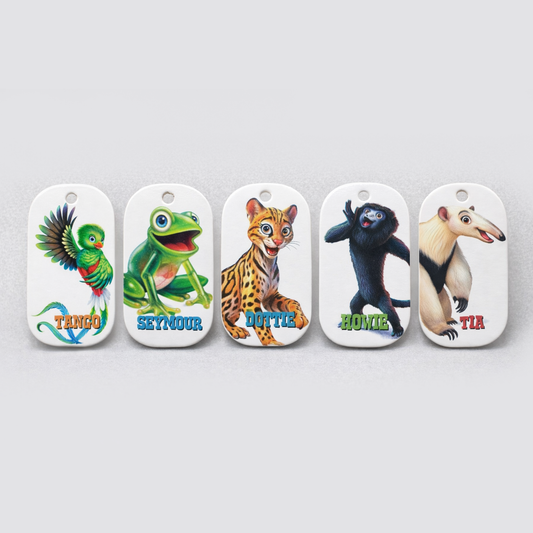 VBS 2026 Schooler / Teens Set