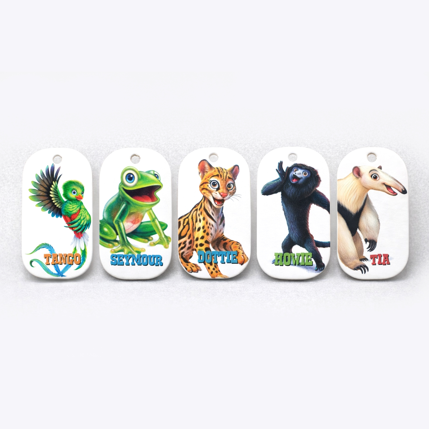 Bible Memory Buddies & Rainforest Falls Carabiner
